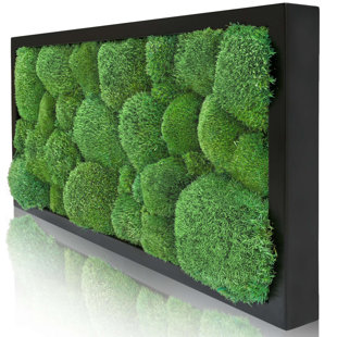 Moosbild Islandmoos Wall Décor