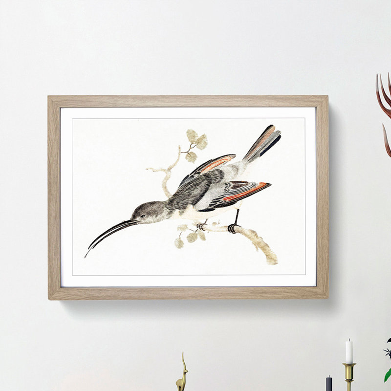 Hummingbird by Johan Teyler - Framed Print, 36cm H x 48cm W x 2cm D, Oak Framed