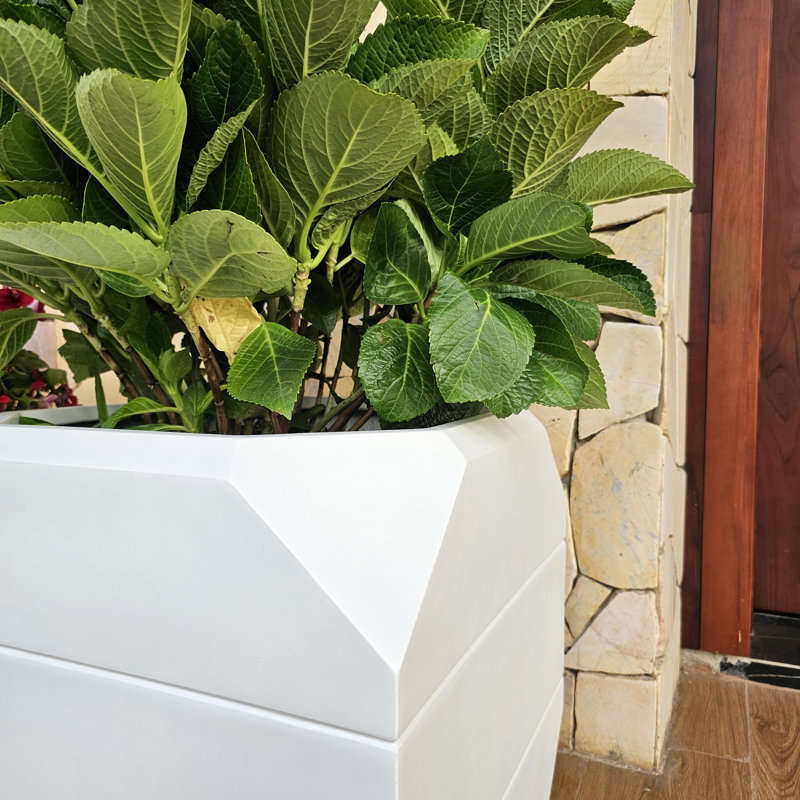 Pot à fleurs 16 po Modern Sonoma, H 16 po x l 15,7 po x P 15,7 po, Blanc