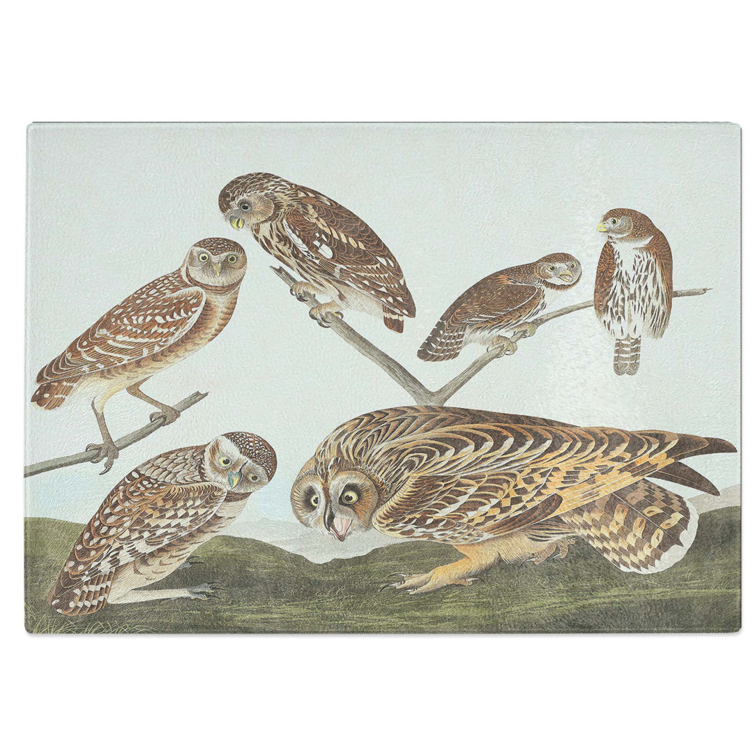 Tempered Glass Selection of Owls by John James Audubon Chopping Board