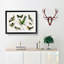Collection of Hummingbirds XXV by Oliver Goldsmith - Picture Frame Painting-57864641-57864645