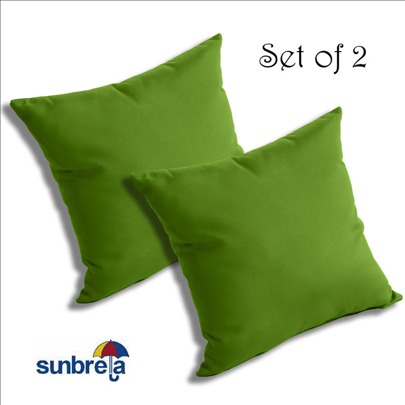  Outdoor Throw Pillow, Macaw