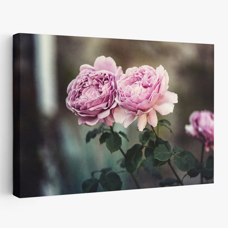 Plantes, fleurs, roses écossaises, art mural, H 16 po x l 24 po