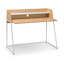 Lippi Steel Computer Desk