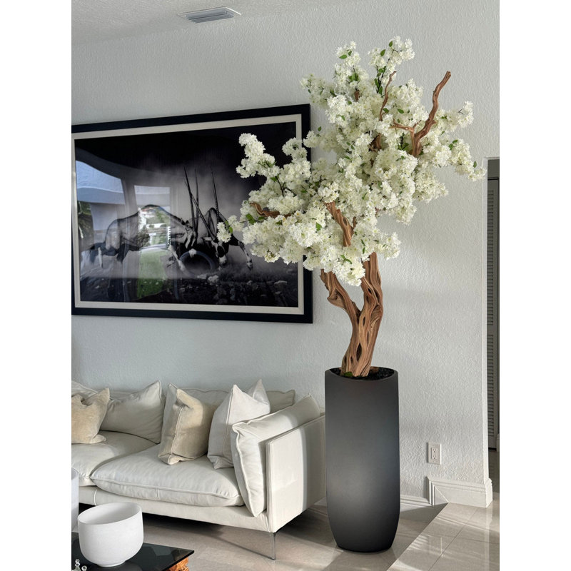 White Cherry Blossom Tree In Matte Planter, Gray