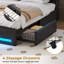 Base de lit tapissier grand format avec base de recharge, 4 tiroirs et lumières DEL, robuste, aucun sommier tapissier requis-2073727220-2046859053