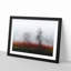 Tree Fog in Switzerland - Picture Frame Graphic Art Print-56734747-56734748