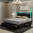 Led Bed Frame With 4 Storage Drawers, Smart Control RGB LED Lights On  Headboard,With Remote Control, Upholstered Adjustable Headbaord-113474564-113474566