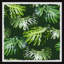 Leafy Plants - Single Picture Frame Painting-1366443343