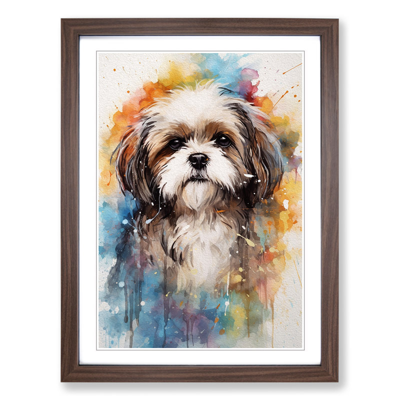 Shih Tzu Action - Framed Print, 46cm H x 34cm W x 2cm D, Walnut Framed