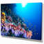 « tropical corail de corail », reproduction de photo sur toile tendue-29504892