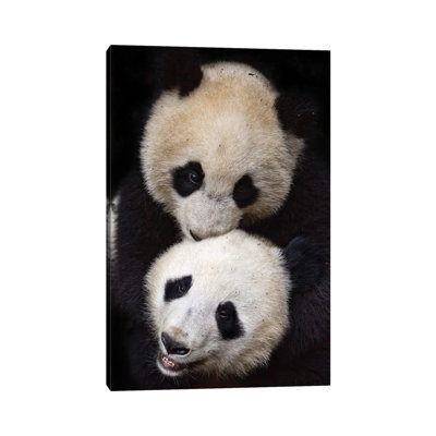 Brothers 1 Piece Wrapped Canvas Painting