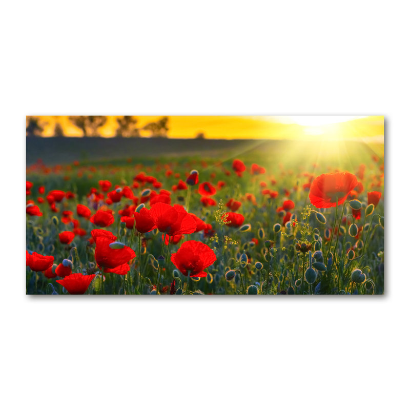 Field Of Poppies - Wrapped Canvas Print