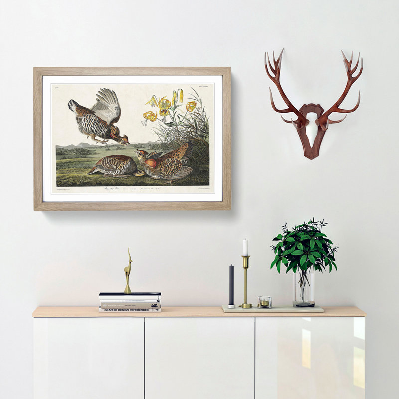 Pinnated Grouse Birds by John Audubon - Framed Print, 27cm H x 36cm W x 2cm D, Oak Framed