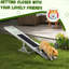 Balançoire pour chien en bois - L 71 po x l 12 po, blanc