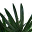 100cm Faux Palm Tree in Pot Liner