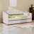 Upholstered Daybed With Two Drawers-1490362462