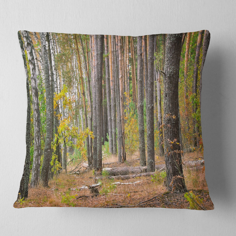 Coussin Green Forest, 16 po x 1 po, Carré