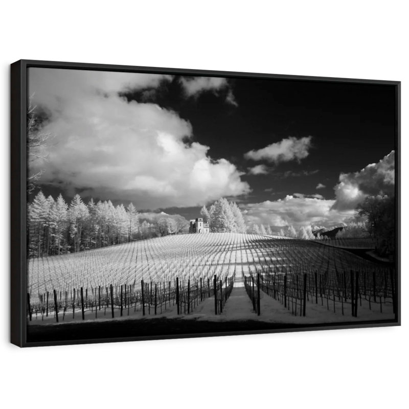 Nature "Terra Valentine Winery", H 29 po x l 43 po