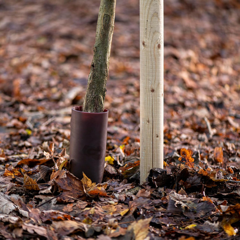 Plant Stand, x1