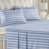 Rayures bleues classiques est en rupture de stock