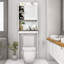 Graysyn Freestanding Over the Toilet Storage