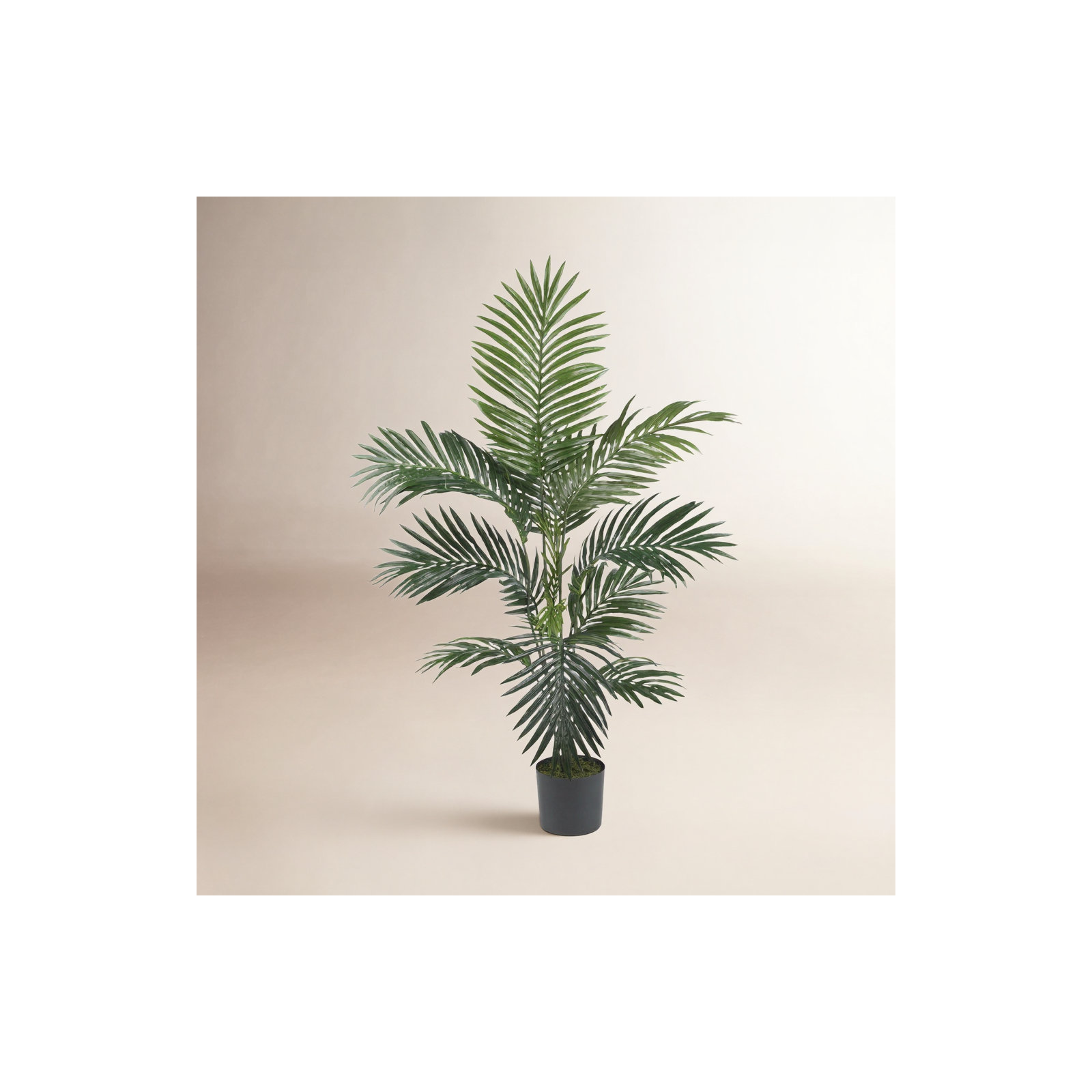 Callum Faux Palm Tree in Pot, 48" H
