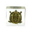 Presse-papiers tortue autaugaville