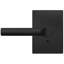 Custom Broadway Non-Turning Lever with Century Trim-27327086