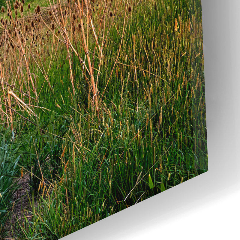Art mural en verre acrylique August Sunset® «Sunset At The Old Barn» par Rick Berk, H 12 po x l 16 po x P 0,13 po
