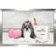 Fashionista Shih Tzu (Horizontal) par By Jodi - impression-284830369-284830373