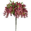 Fleurs et tiges de glycine-479851214