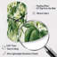 Vintage Jungle - horloge murale cylindrique Plants-105565549