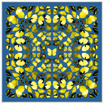 «Butterfly Collage», reproduction d'impression encadrée