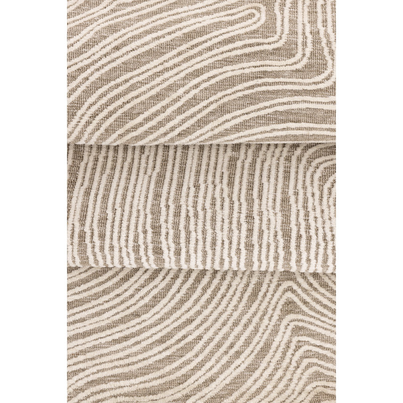 Arlillian 295cm X 395cm Area Rug