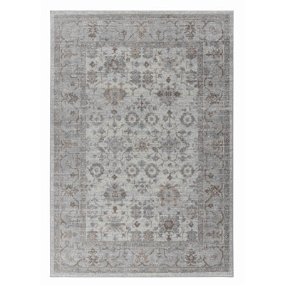 4' X 6' Grey Oriental Area Rug
