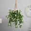 Plante stephanotis artificielle en panier 38"