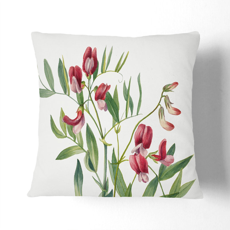 Wild Pea Scatter Cushion, 55cm H x 55cm W x 20cm D, Black