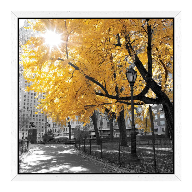Park Pretty by Amanda J. Brooks - Print on Canvas, 93.98 cm H x 93.98 cm W, White Framed