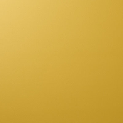 Vegan Leather Indoor/Outdoor Fabric