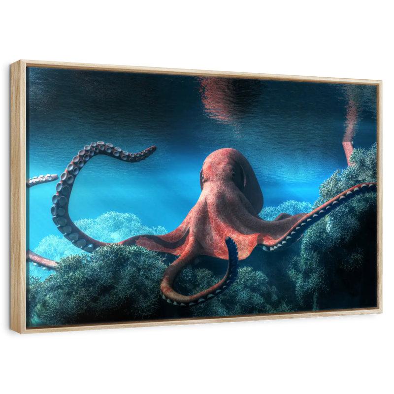 Adult Octopus, Floating Frame Natural Wood, 46" X 31"