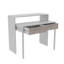 Dickie Writing Desk