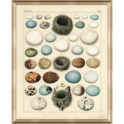 Nest and Eggs II - Cadre photo, impression sur papier