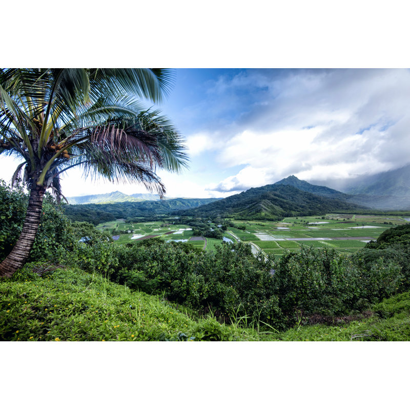 Hanalei Valley by Danny Head - Wrapped Canvas Print, 30cm H x 46cm W