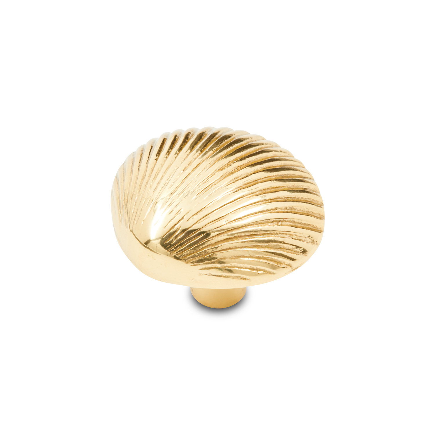 CK Series Shell Cabinet Knob, Polished Brass