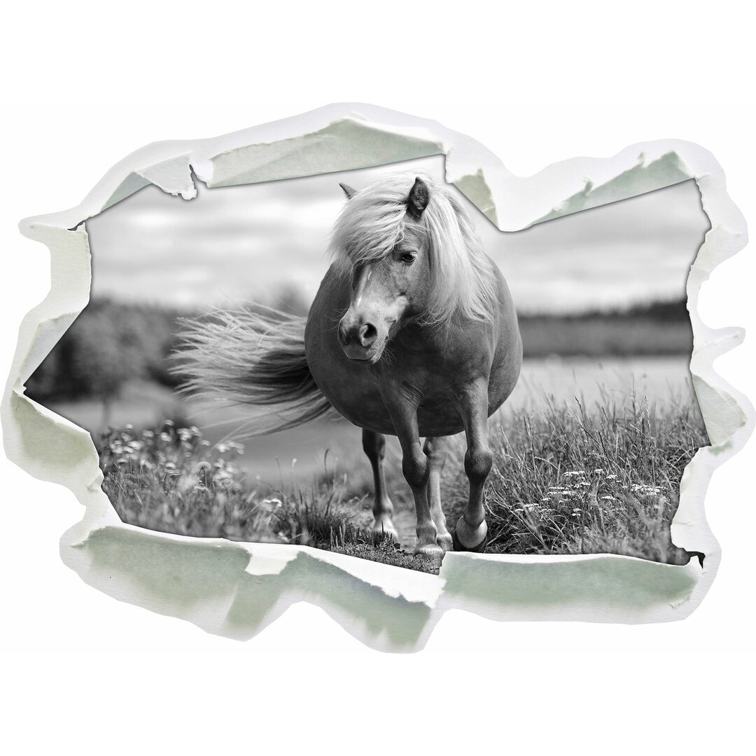 Wandtattoo Shetlandpony auf der Wiese