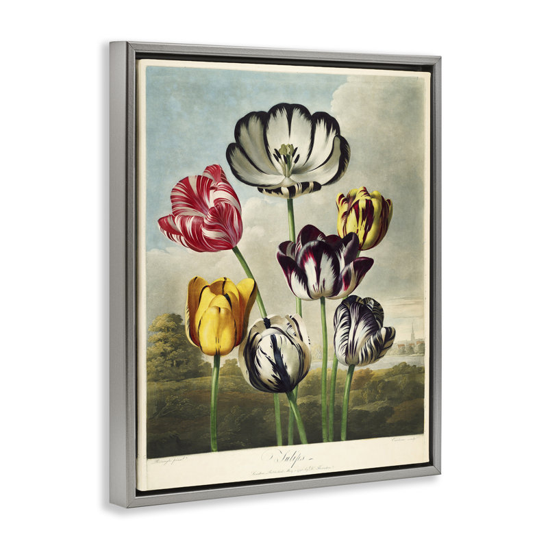 Tulipes du temple, cadre flottant, design par Print Collection, H 31 po x l 25 po, Cadre flottant gris lustré