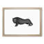 Wombat Illustration in Black & White - Framed Print-55641726-55641728