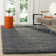 Schaeffer Solid Colour Area Rug