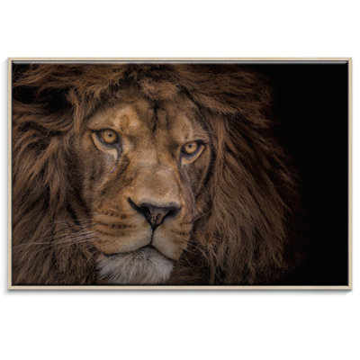 Floater Frame Print on Canvas